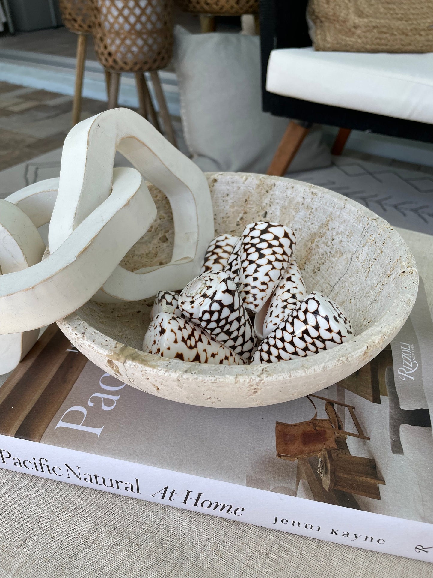 MARBLE CONE SHELLS *All Sizes* Natural White Brown Spots Conus Marmoreus Modern Seashell