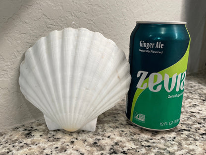 XL 4-6” You Pick Size Irish Baking Scallop Seashells Deep Shells White Beach Wedding Décor Coastal Favors Decoupage Candles