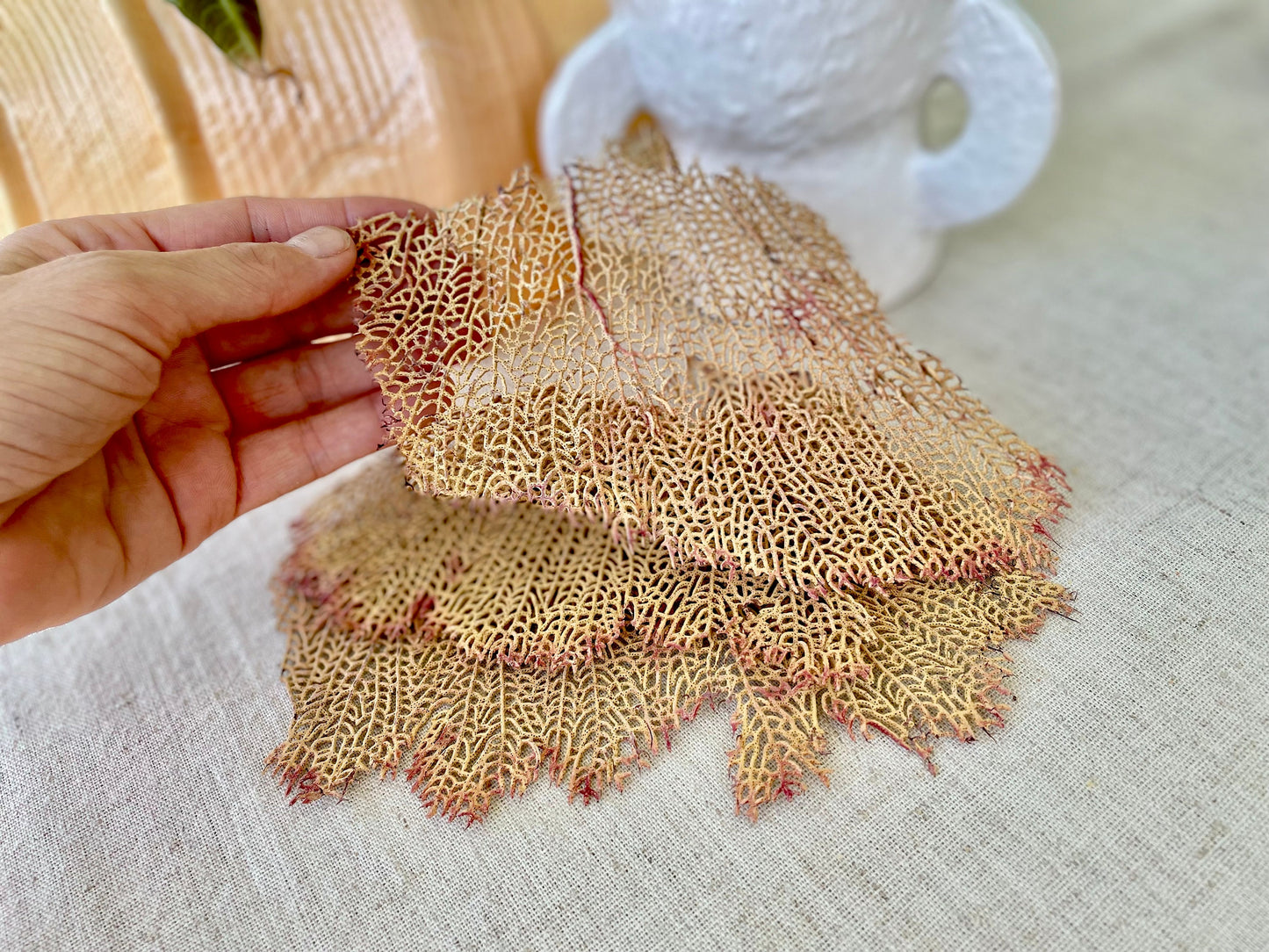 Real Natural Dried Sea Fan Pieces 4-6” Yellow beige Pink Color Beach Coastal Décor Decorative Crafts Art Bowl Filler