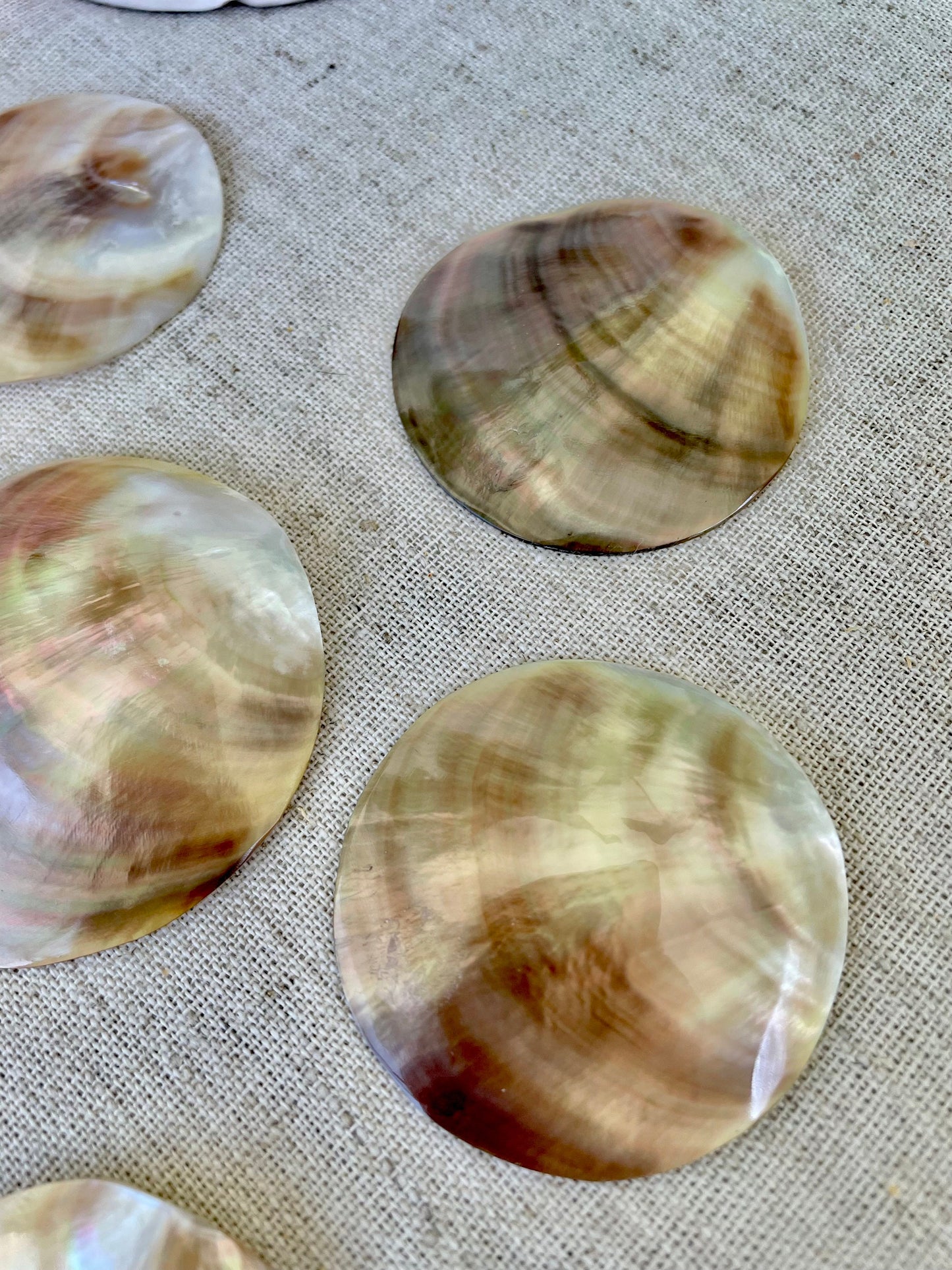 Set of 3 SHINY Brown Lip Mother of Pearl Polished Oyster Half 1-1.5" Round Not Drilled Shell Seashell Beach Home Décor Coastal Crafts