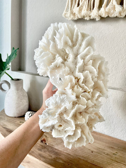 100% Genuine Sea Fossil LETTUCE CORAL Up to 14" Ocean Reef Aquarium Coastal Beach White Natural Décor Nautical Organic Irregular Shapes