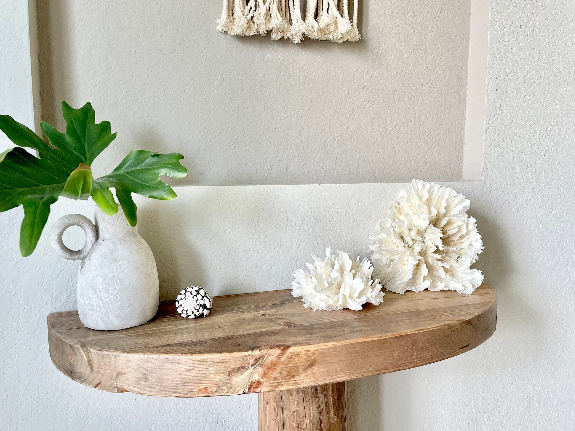 LETTUCE CORAL *All Sizes* Authentic Natural Real Sea Fossil White Coastal Décor