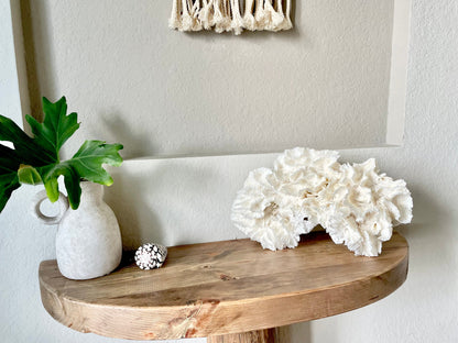 LETTUCE CORAL *All Sizes* Authentic Natural Real Sea Fossil White Coastal Décor