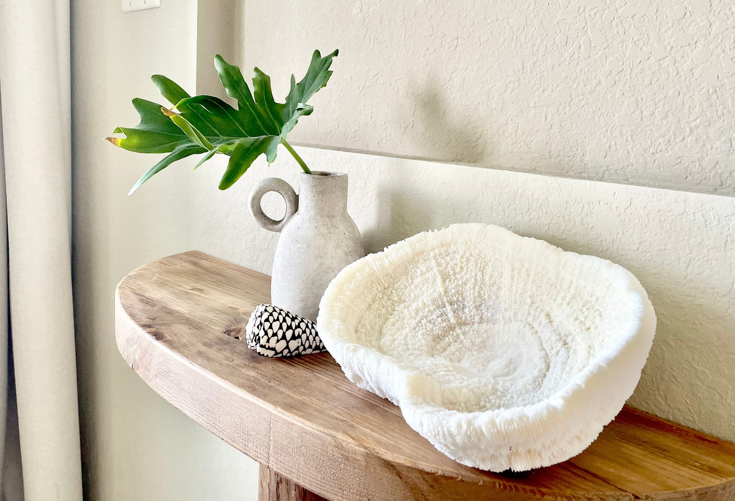 BOWL CORAL White All Sizes Authentic Natural Real Sea Fossil Coastal Décor Ocean Beach House Organic Sustainable Nature Art Tray Dish