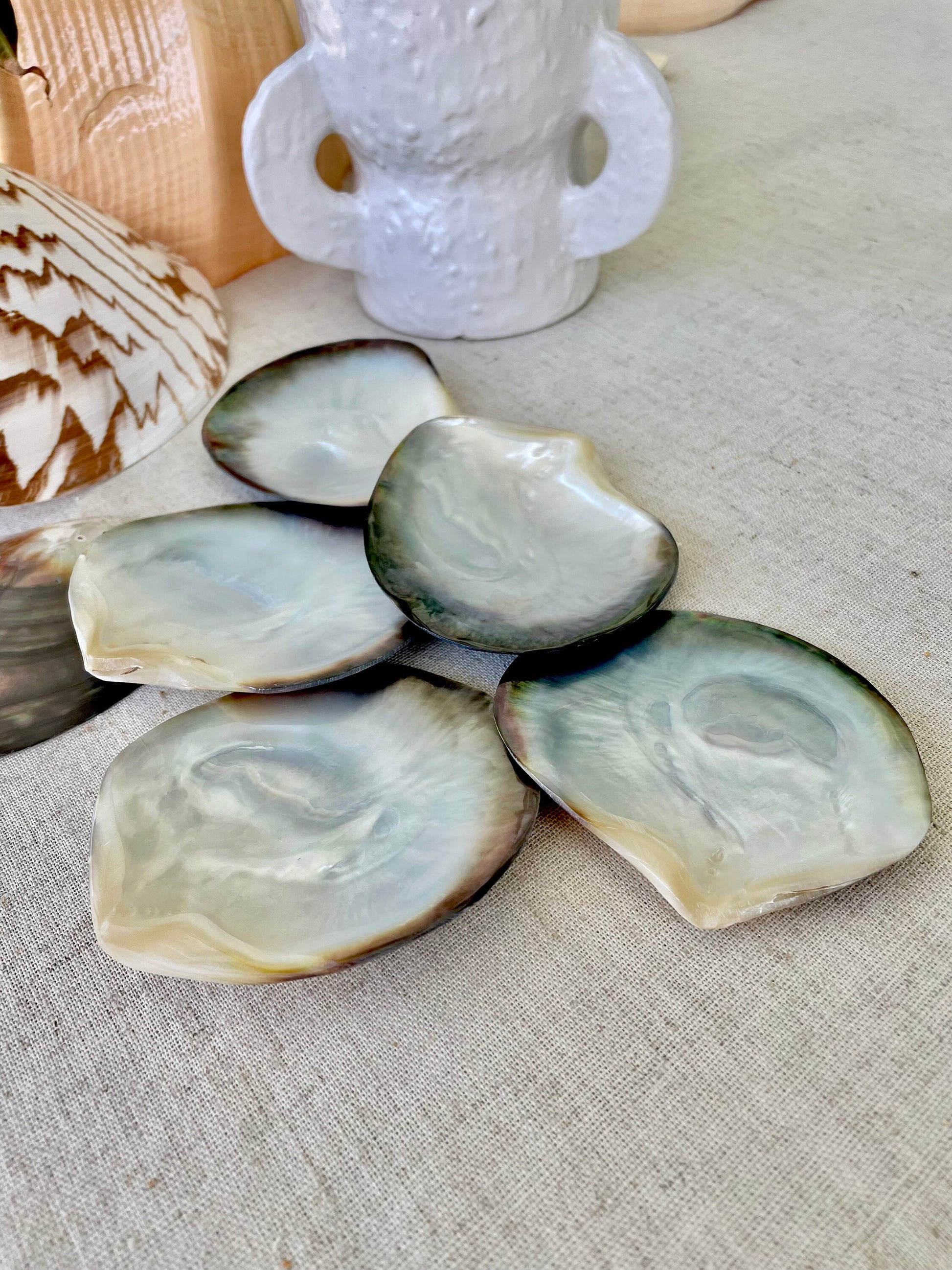 MOTHER OF PEARL Brown Lip Oyster Half Shells *All Sizes* Polished Jewelry Making Supply Craft Seashell