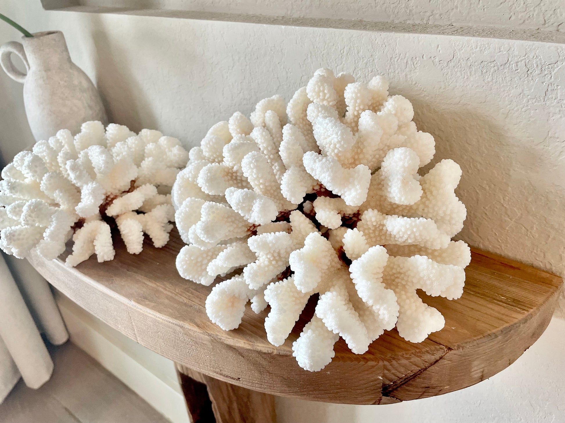 White CLUSTER CORAL *You choose size* 100% Genuine Sea Ocean Reef Aquarium Coastal Beach Décor Nautical Chunky Heavy Natural Gift