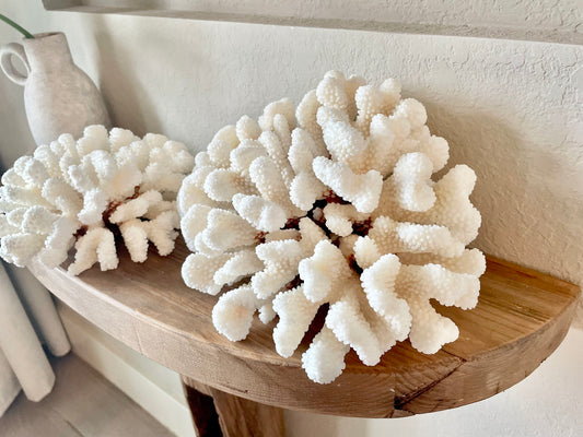 White CLUSTER CORAL *You choose size* 100% Genuine Sea Ocean Reef Aquarium Coastal Beach Décor Nautical Chunky Heavy Natural Gift