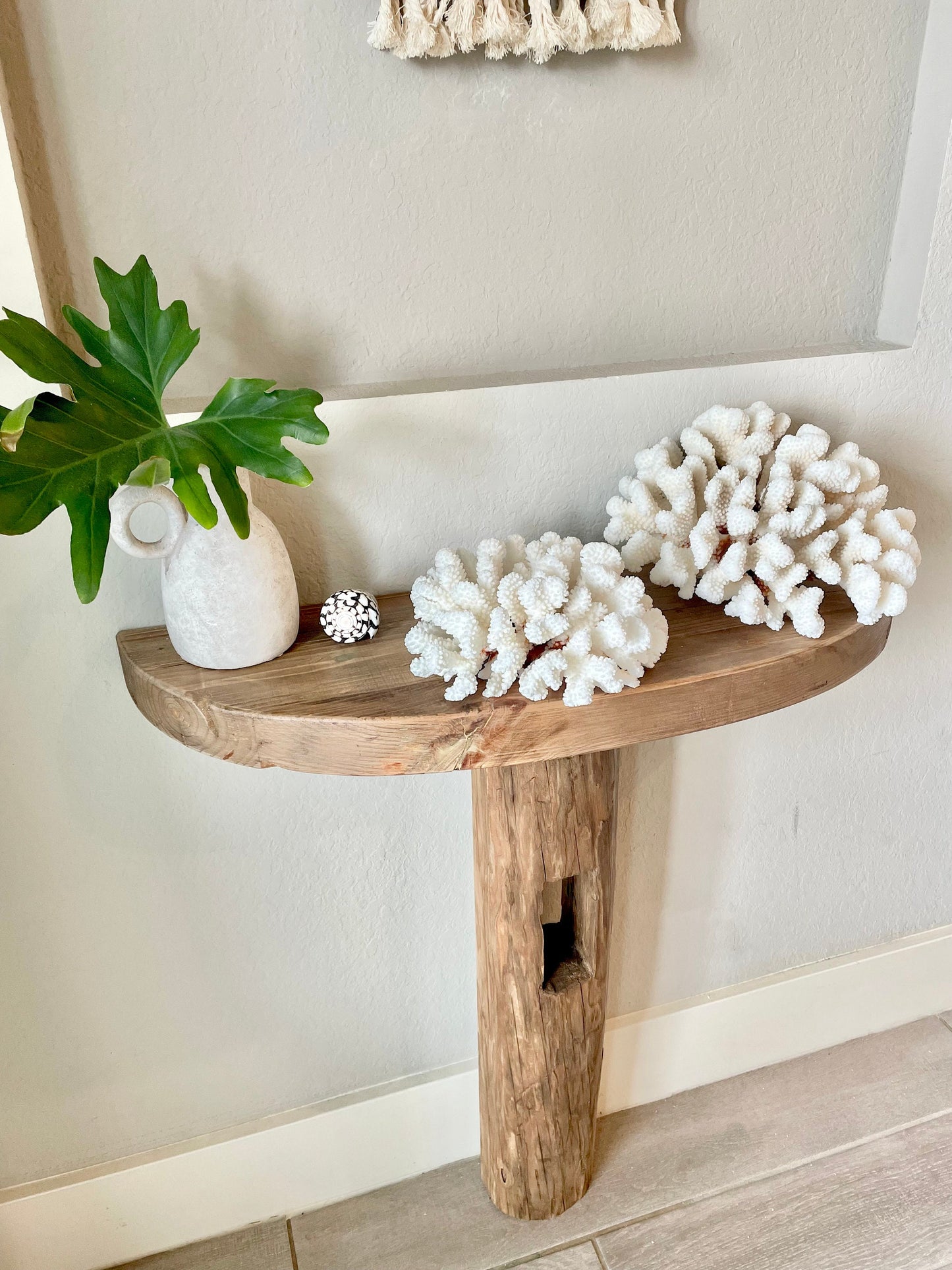 CLUSTER Coral White *All Sizes* Authentic Natural Real Sea Fossil Coastal Décor