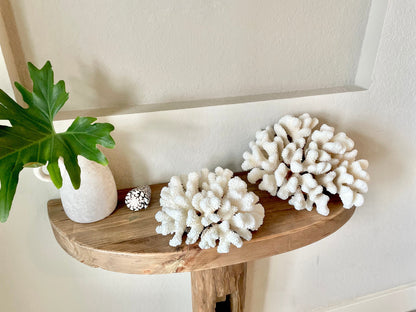White CLUSTER CORAL *You choose size* 100% Genuine Sea Ocean Reef Aquarium Coastal Beach Décor Nautical Chunky Heavy Natural Gift