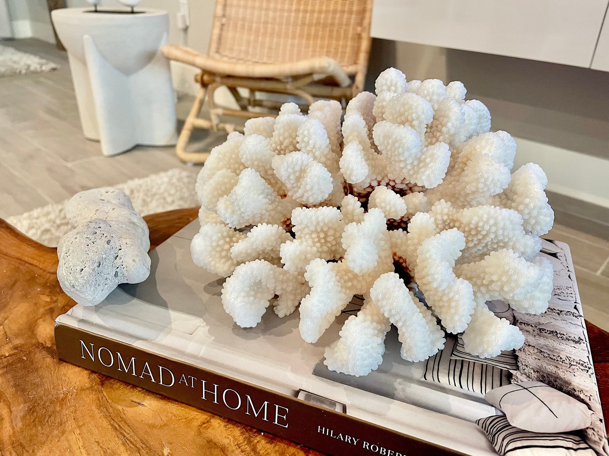 White CLUSTER CORAL *You choose size* 100% Genuine Sea Ocean Reef Aquarium Coastal Beach Décor Nautical Chunky Heavy Natural Gift