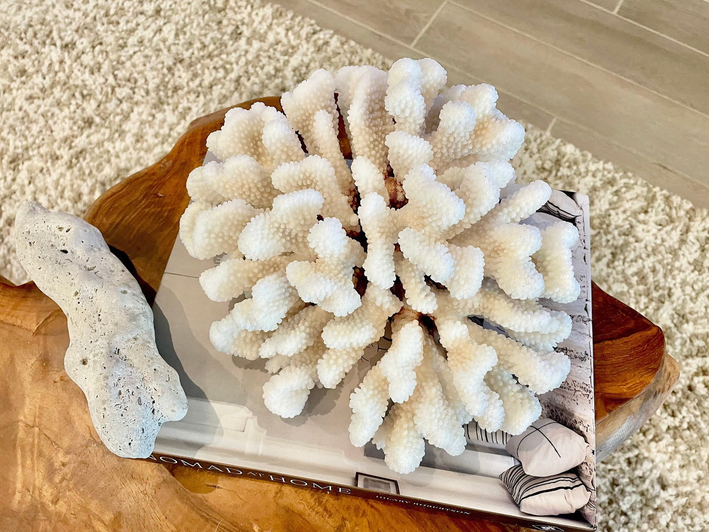 White CLUSTER CORAL *You choose size* 100% Genuine Sea Ocean Reef Aquarium Coastal Beach Décor Nautical Chunky Heavy Natural Gift