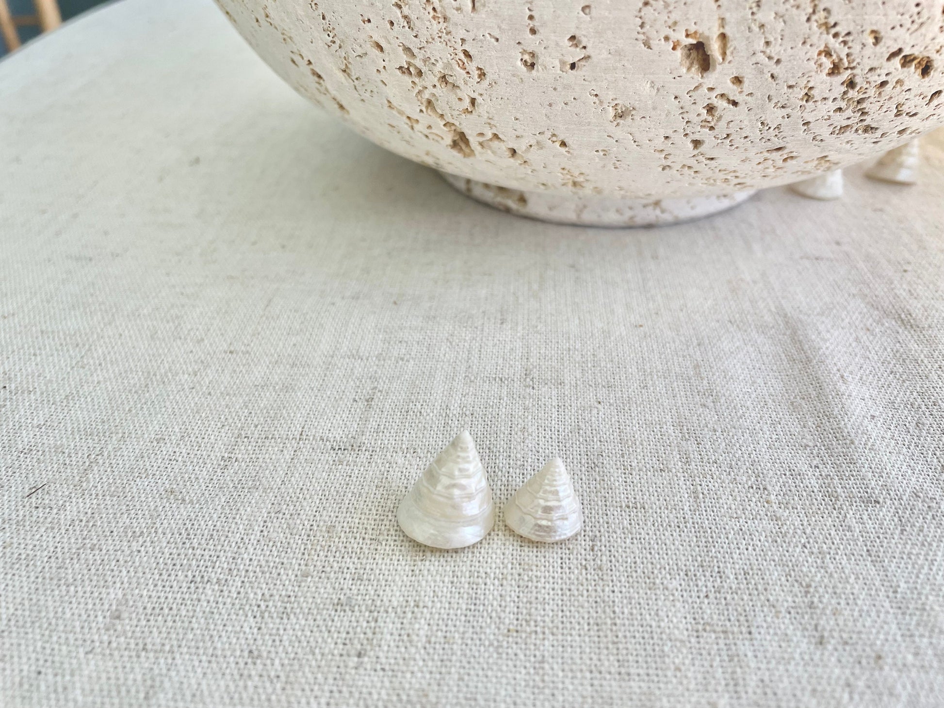Small PEARLY OFF WHITE Real Pearlized Top Shells Trochus Seashells 1/2 -3/4" Beach Coastal Décor Crafts Jewelry Sailors Valentine