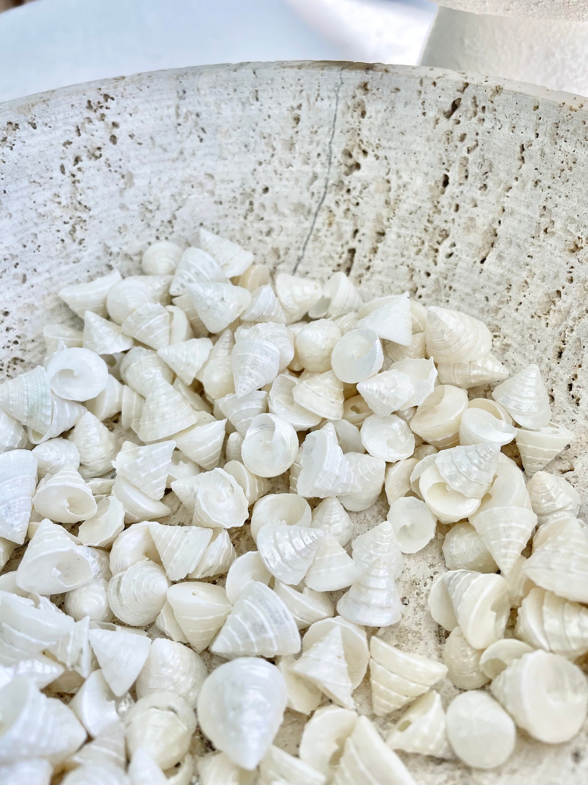 Small PEARLY OFF WHITE Real Pearlized Top Shells Trochus Seashells 1/2 -3/4" Beach Coastal Décor Crafts Jewelry Sailors Valentine