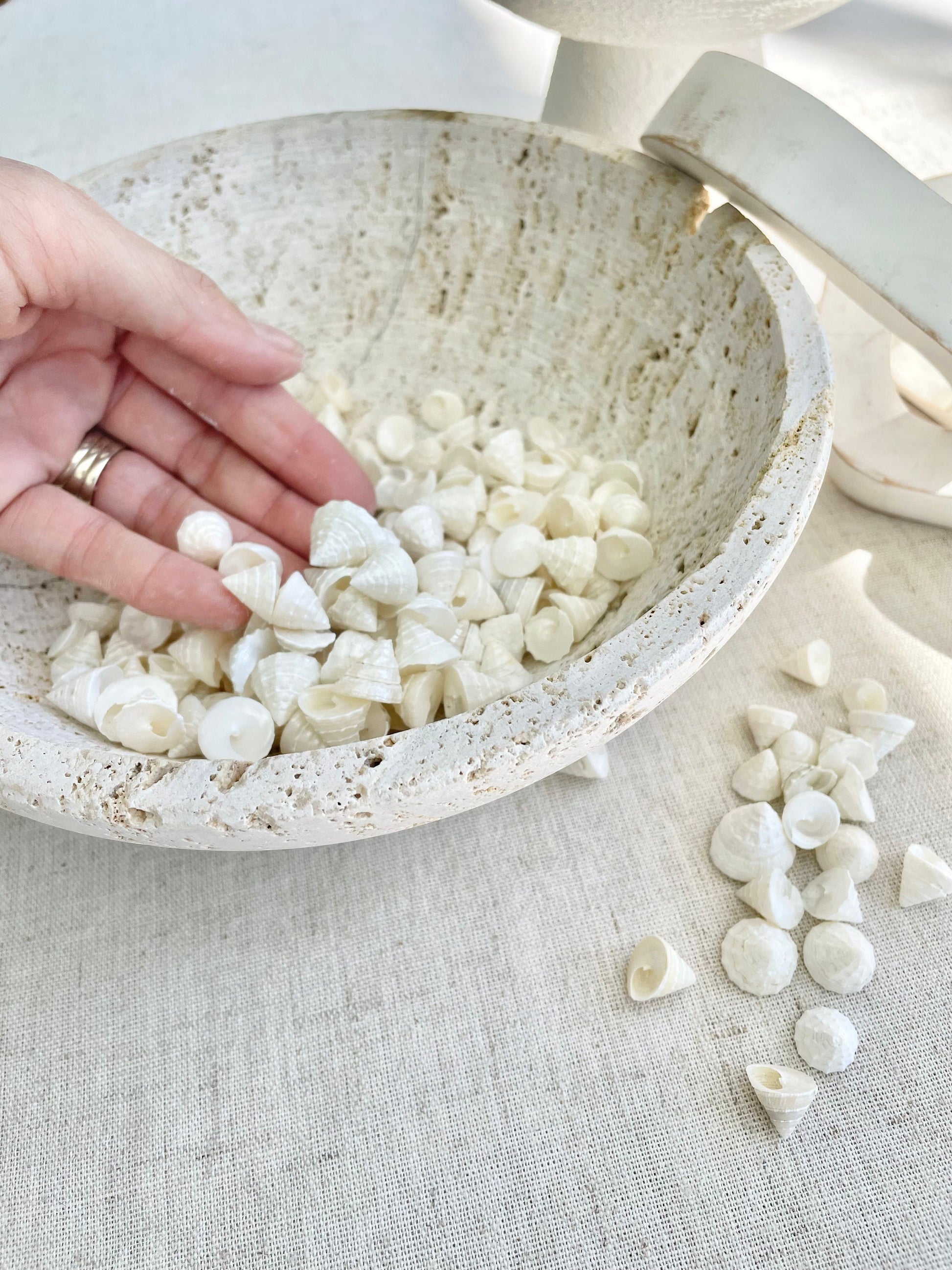 Small PEARLY OFF WHITE Real Pearlized Top Shells Trochus Seashells 1/2 -3/4" Beach Coastal Décor Crafts Jewelry Sailors Valentine