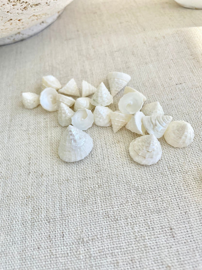 Small PEARLY OFF WHITE Real Pearlized Top Shells Trochus Seashells 1/2 -3/4" Beach Coastal Décor Crafts Jewelry Sailors Valentine