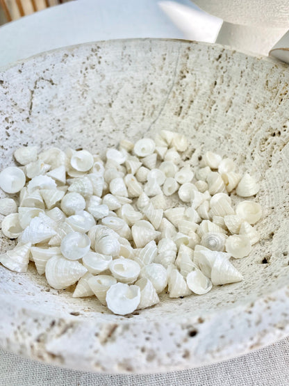 Small PEARLY OFF WHITE Real Pearlized Top Shells Trochus Seashells 1/2 -3/4" Beach Coastal Décor Crafts Jewelry Sailors Valentine