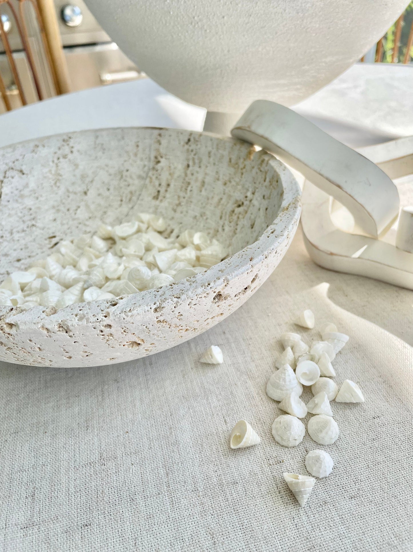 Small PEARLY OFF WHITE Real Pearlized Top Shells Trochus Seashells 1/2 -3/4" Beach Coastal Décor Crafts Jewelry Sailors Valentine