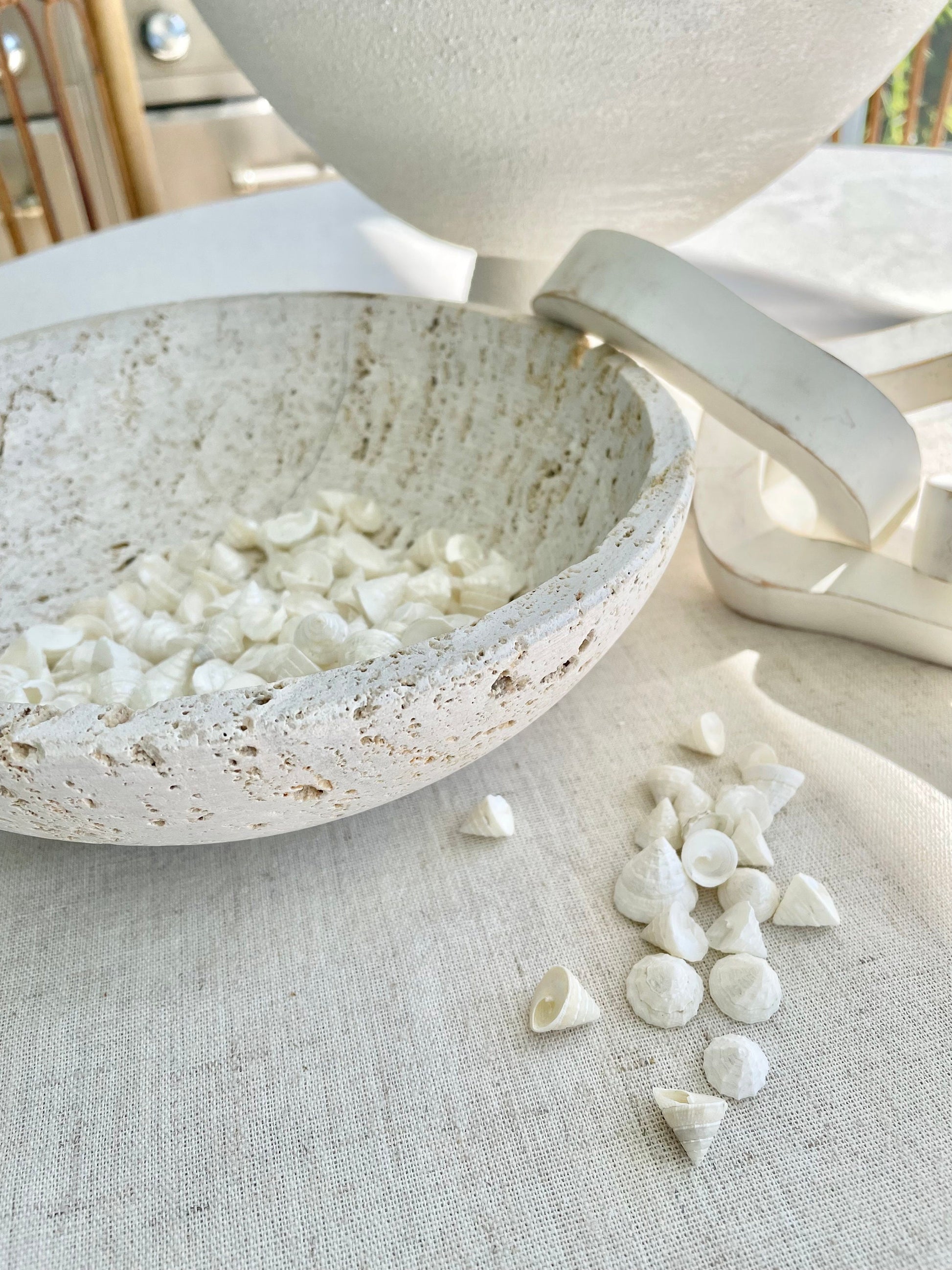 Small PEARLY OFF WHITE Real Pearlized Top Shells Trochus Seashells 1/2 -3/4" Beach Coastal Décor Crafts Jewelry Sailors Valentine