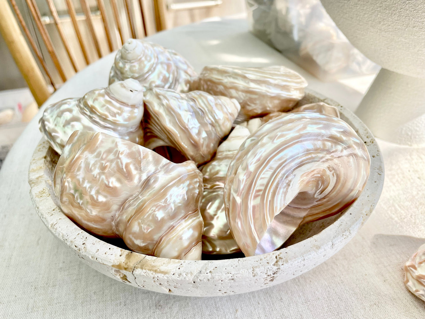 PEARL WAVY TROCHUS Shells *You Choose Size* Natural Irredescent Silver Pyramid Top Display Seashell Home Beach Coastal Décor