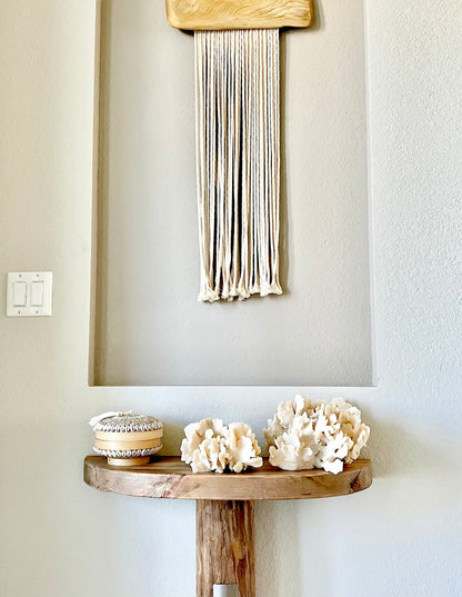 Genuine Sea Natural Beige CACTUS CORAL 100% Real Ocean Reef Aquarium Coastal Beach Ocean Décor Nautical Flat cut bottom