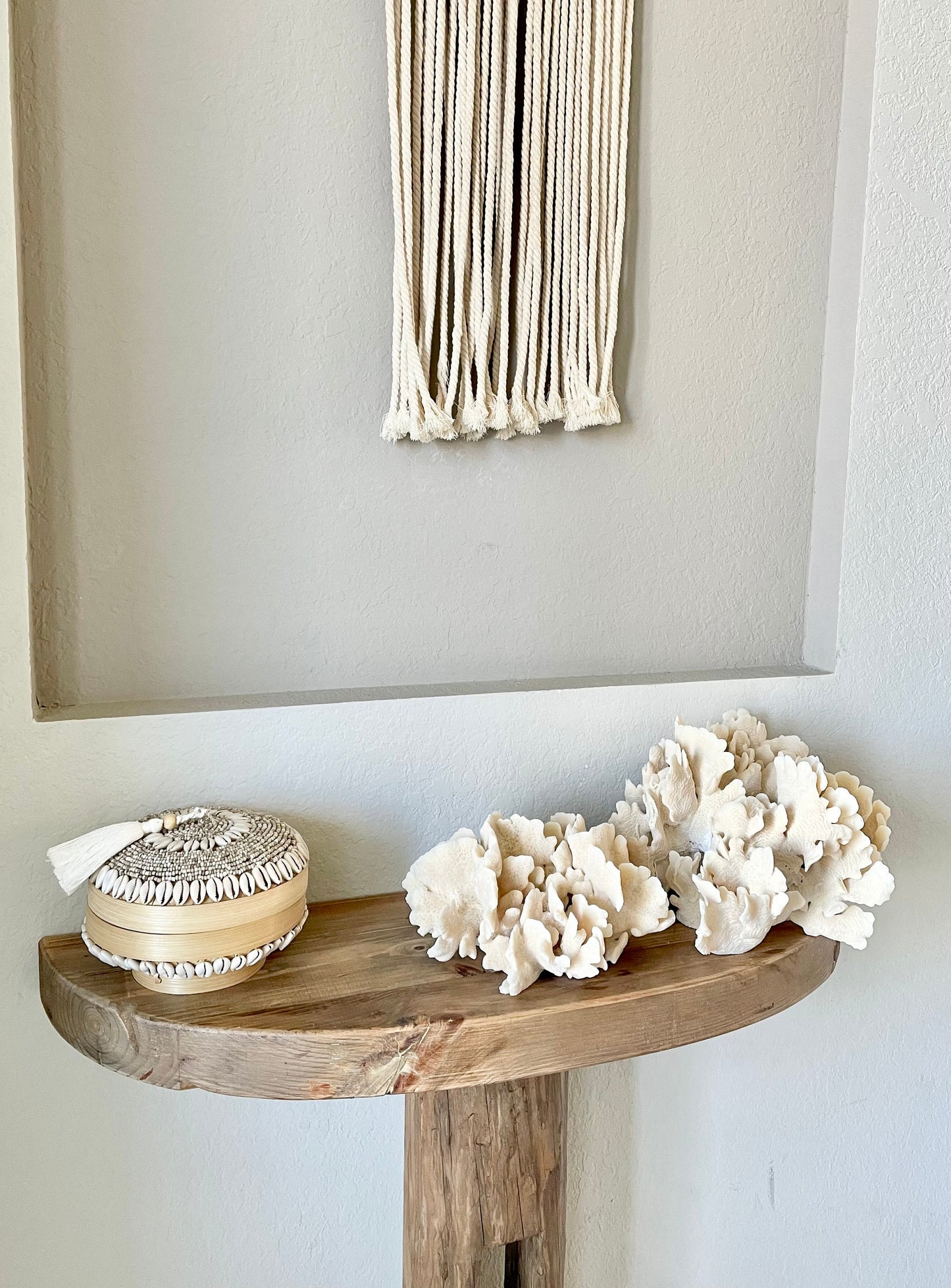 Genuine Sea Natural Beige CACTUS CORAL 100% Real Ocean Reef Aquarium Coastal Beach Ocean Décor Nautical Flat cut bottom