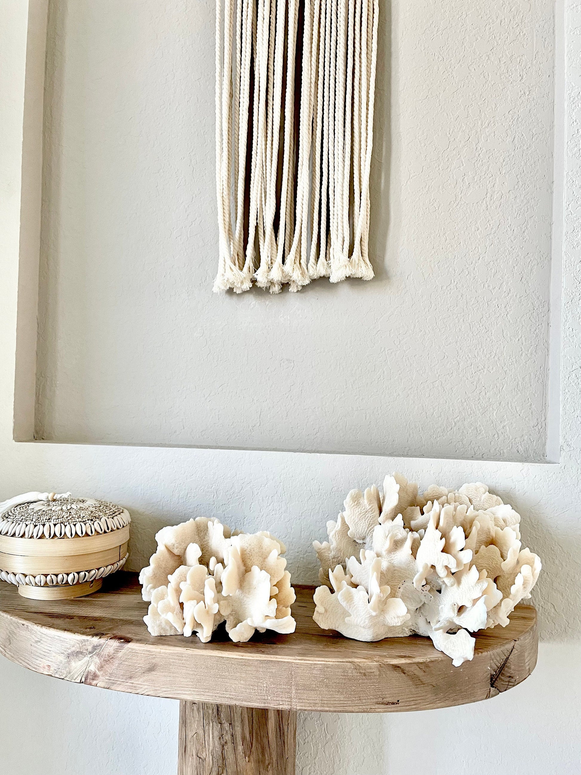 Genuine Sea Natural Beige CACTUS CORAL 100% Real Ocean Reef Aquarium Coastal Beach Ocean Décor Nautical Flat cut bottom