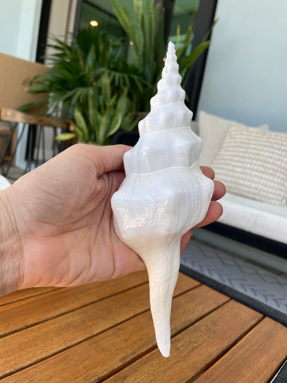 WAVY SPINDLE SHELLS: 6-8" White Display Conch Seashell Coastal Beach Décor