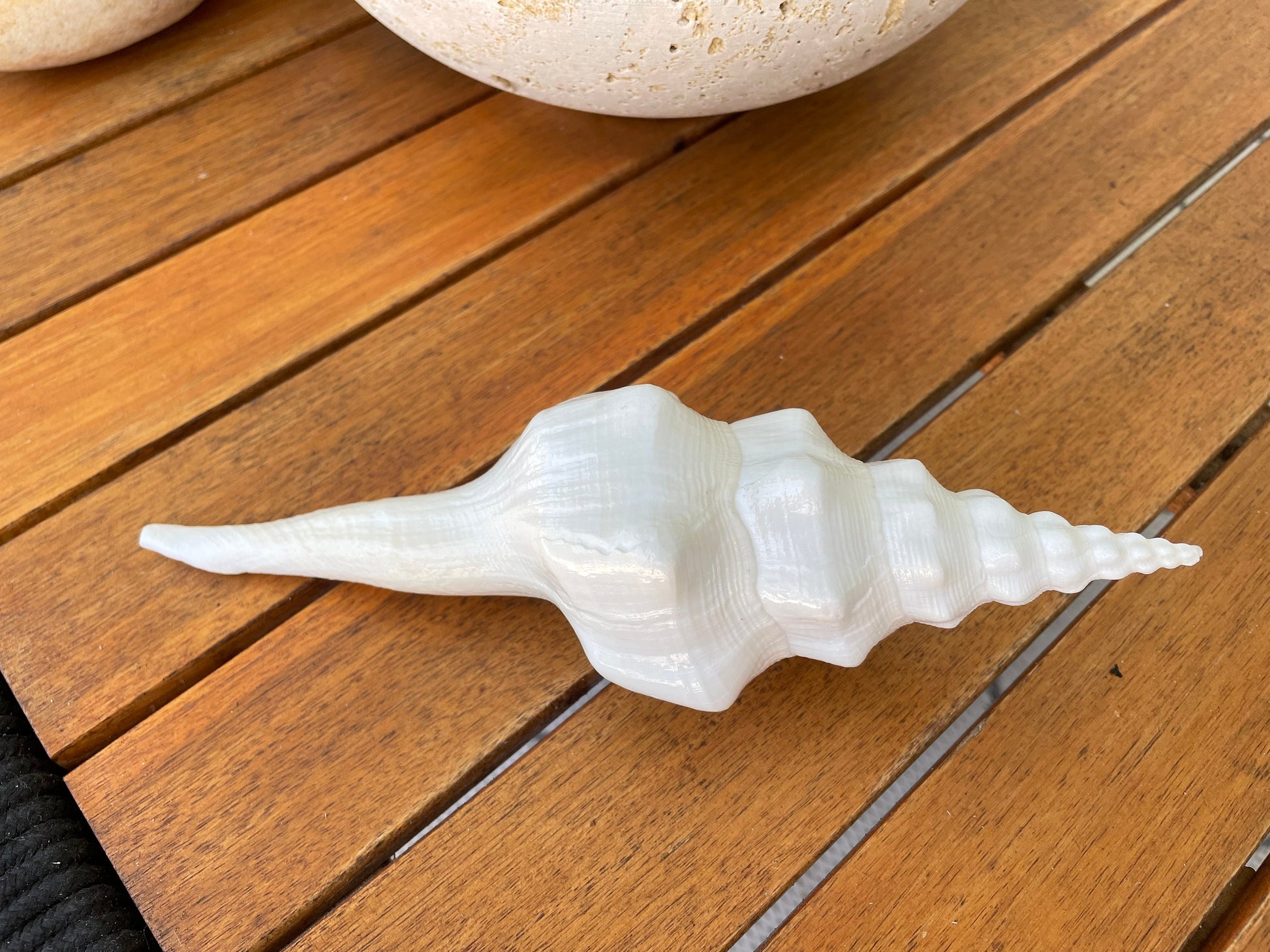 WAVY SPINDLE SHELLS: 6-8" White Display Conch Seashell Coastal Beach Décor