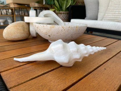 WAVY SPINDLE SHELLS: 6-8" White Display Conch Seashell Coastal Beach Décor