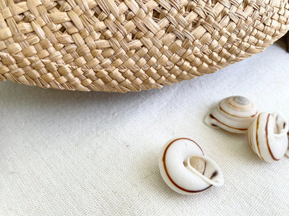 White Obba Bigonia Land Snail Seashells Small 1.25" Beach Wedding Sailors Valentine Crafting Shell Bulk Coastal Home Décor