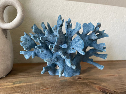 Premium Grade Genuine Sea BLUE RIDGE CORAL All Sizes Real Ocean Reef Aquarium Coastal Beach Ocean Décor Nautical