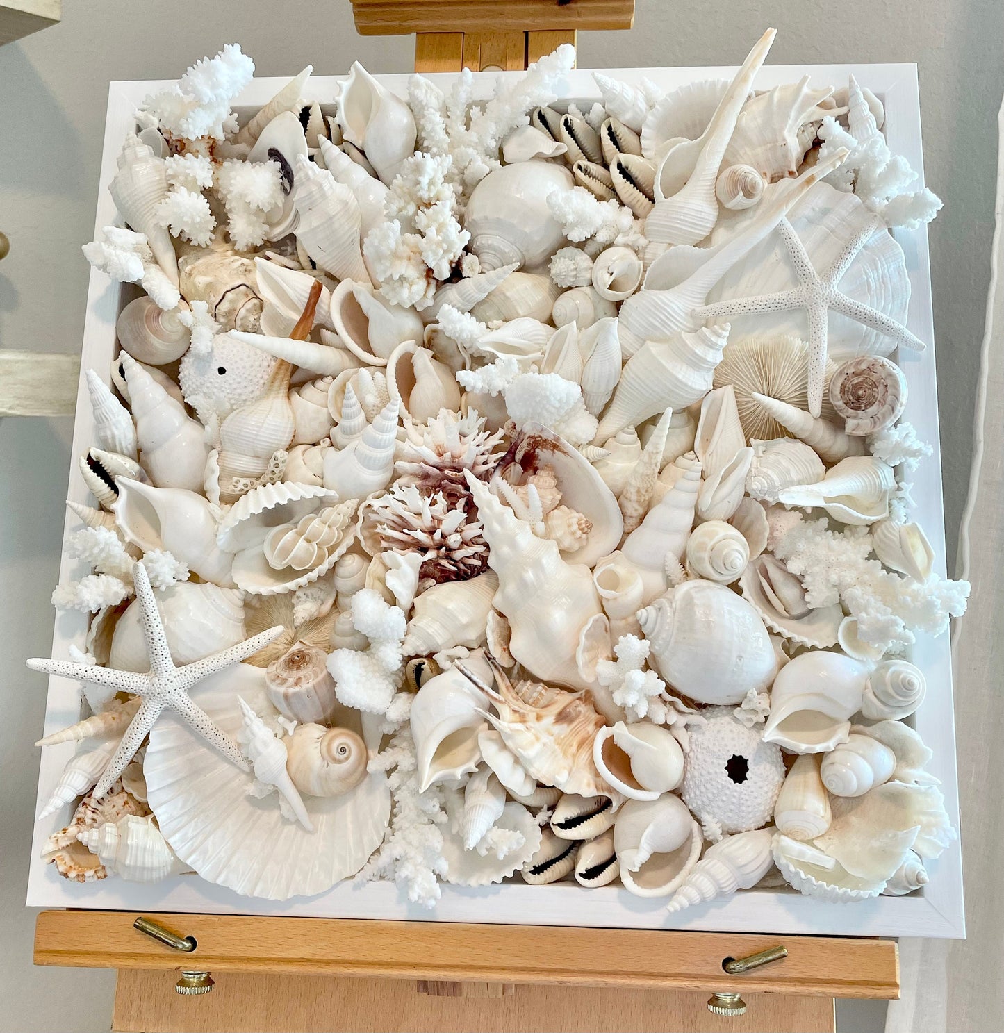 Handmade Seashell Coastal Wall Art Natural Textured Home Décor Sea Shells Urchins Coral Starfish White Beige Brown Seashells