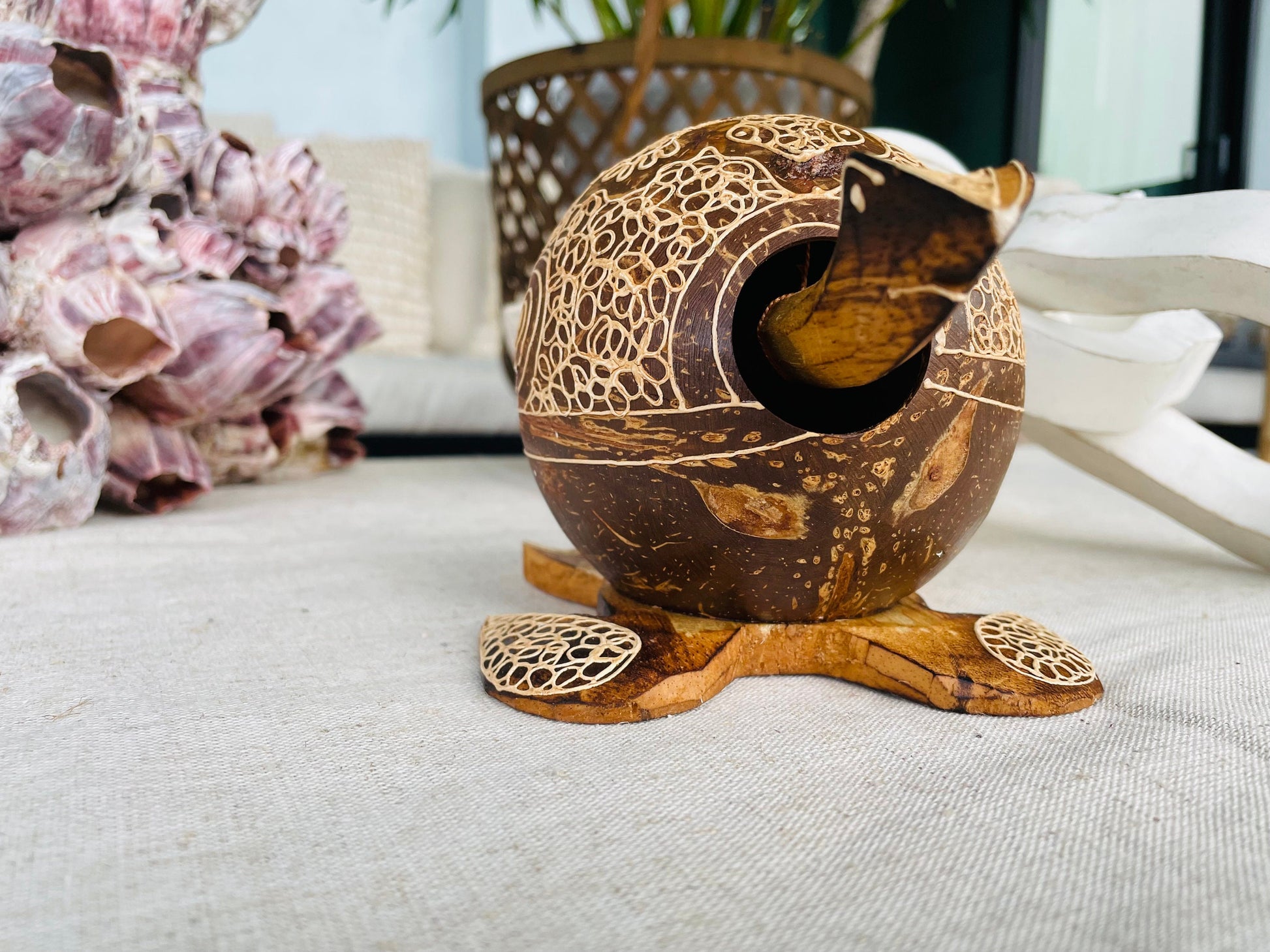 TURTLE LOVERS Handmade Carved Coconut Shell Bobbing Bobble Head Coastal Beach Gift Natural & Eco Friendly Kids Toy Organic Sustainable Décor