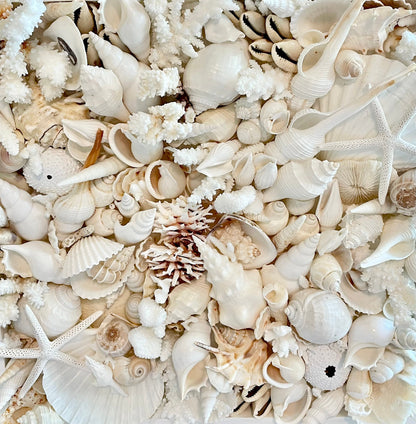 Handmade Seashell Collage Wall Art: Natural Coastal Home Decor White