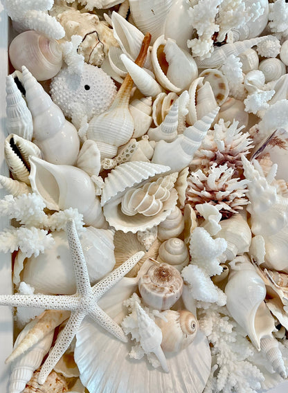 Handmade Seashell Coastal Wall Art Natural Textured Home Décor Sea Shells Urchins Coral Starfish White Beige Brown Seashells