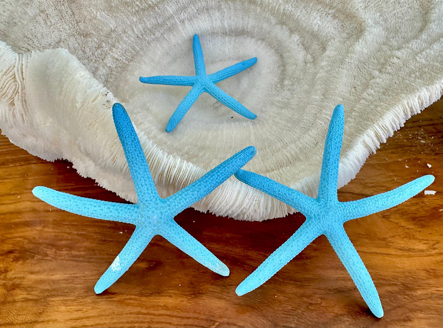 Seafoam Green Light Blue Painted Pencil Finger Starfish 3-6" You Pick Quantity & Size Crafts Coastal Décor Wedding Beach Sea Stars
