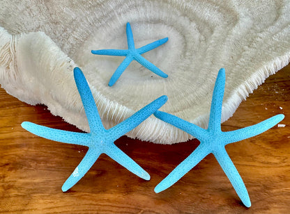 Seafoam Green Light Blue Painted Pencil Finger Starfish 3-6" You Pick Quantity & Size Crafts Coastal Décor Wedding Beach Sea Stars