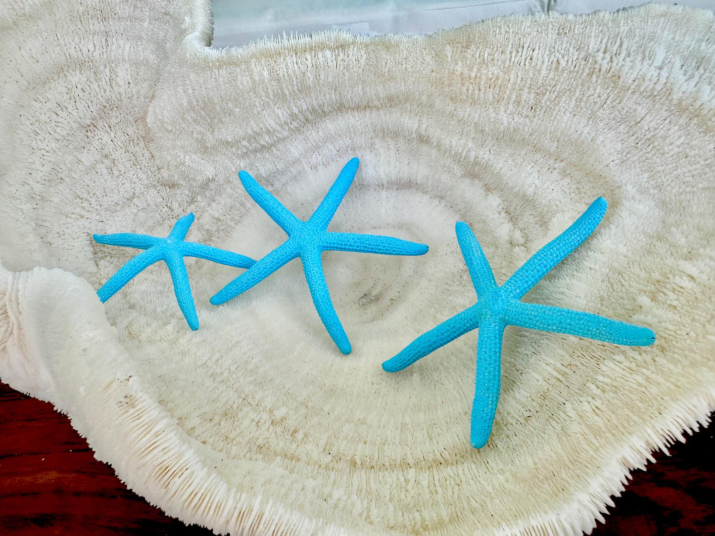 Painted Pencil Starfish 3-6" *You Pick Quantity* Seafoam Green & Light Blue, Coastal Decor