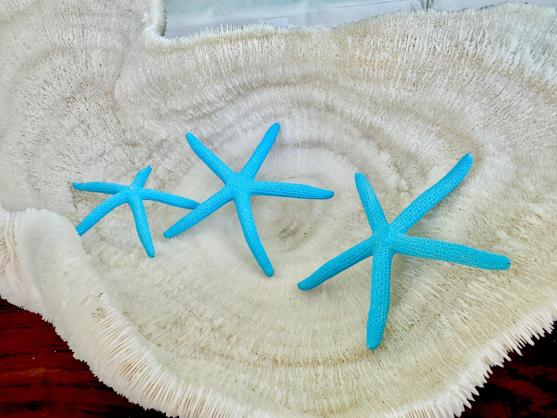 Painted Pencil Starfish 3-6" *You Pick Quantity* Seafoam Green & Light Blue, Coastal Decor