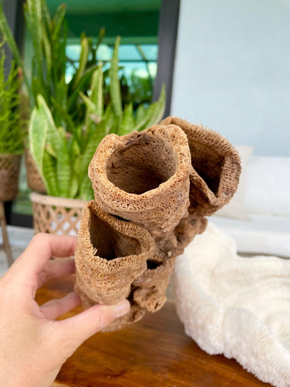 Stove Pipe Tube Sea Sponge Genuine 8-12" Beach Ocean Sea Coastal Home Décor Craft Brown Rope Candle Cylinder Organ Hole Tall Long