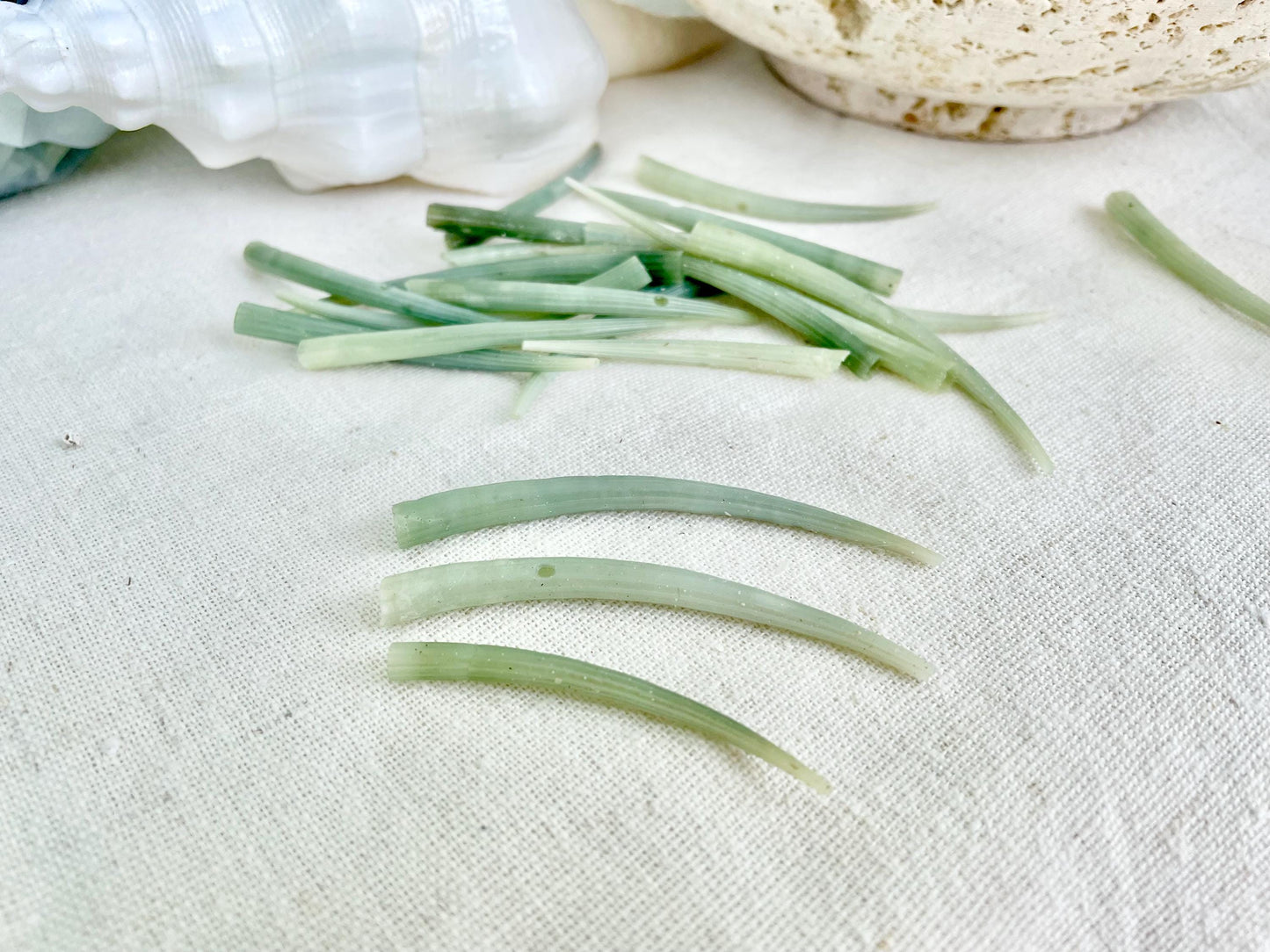 Premium Craft Shells 2-3" Seafoam GREEN Tusk Dentalium You Pick Quantity, Jewelry Coastal Art & Décor Seashells FREE Shipping