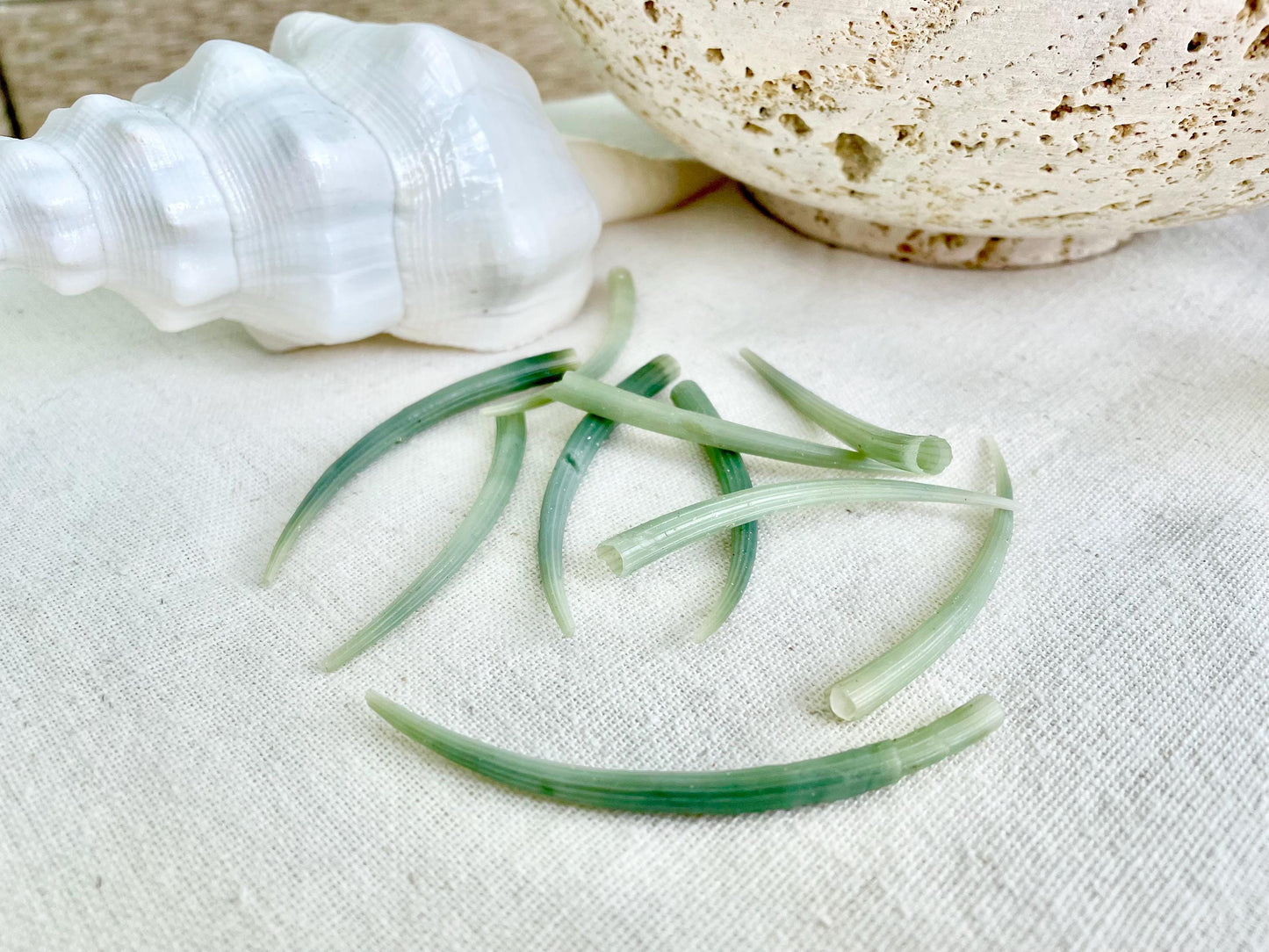 Premium Craft Shells 2-3" Seafoam GREEN Tusk Dentalium You Pick Quantity, Jewelry Coastal Art & Décor Seashells FREE Shipping
