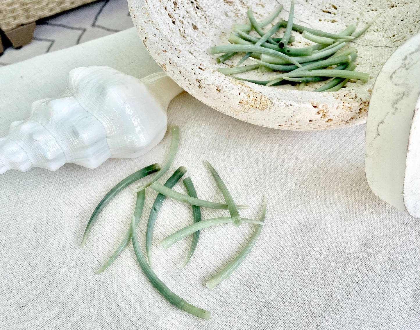 Seafoam Green Tusk Shells 2-3", Dentalium Seashells, Coastal Art & Jewelry