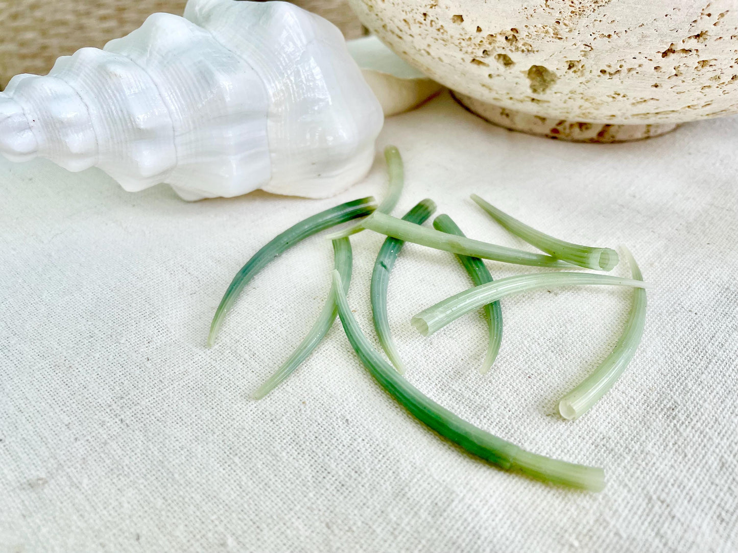 Seafoam Green Tusk Shells 2-3", Dentalium Seashells, Coastal Art & Jewelry