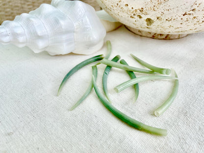 Seafoam Green Tusk Shells 2-3", Dentalium Seashells, Coastal Art & Jewelry