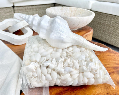 WHITE BUBBLE SHELLS *Sold By Kilo* .5-1" 1200Pc 2.2 Pounds Natural Small Craft seashells Coastal Beach Home Décor Wedding Supplies