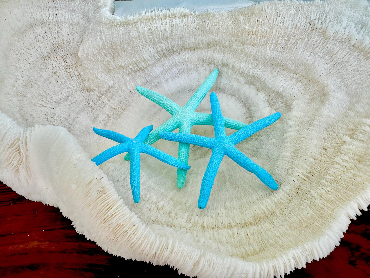 Painted Pencil Starfish 3-6" *You Pick Quantity* Seafoam Green & Light Blue, Coastal Decor
