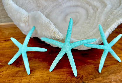 Seafoam Green Light Blue Painted Pencil Finger Starfish 3-6" You Pick Quantity & Size Crafts Coastal Décor Wedding Beach Sea Stars