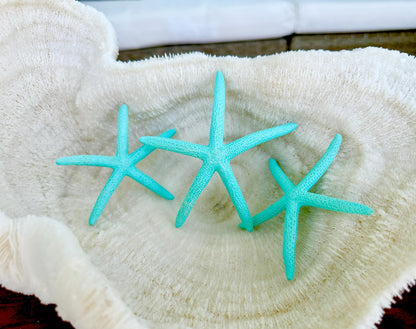 Painted Pencil Starfish 3-6" *You Pick Quantity* Seafoam Green & Light Blue, Coastal Decor