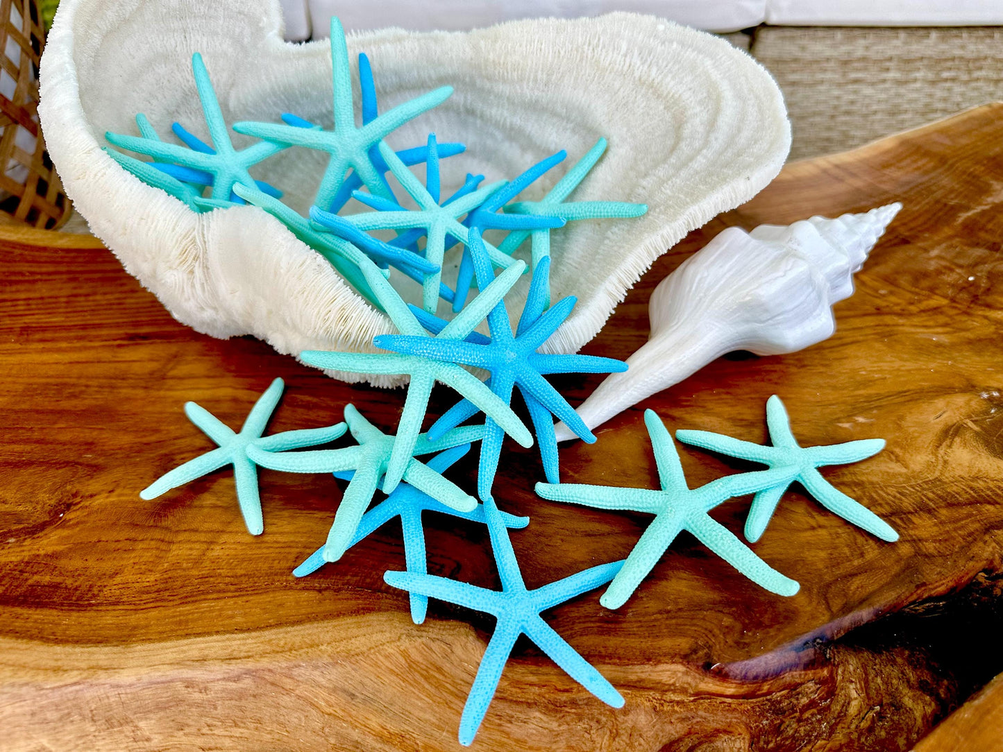 Painted Pencil Starfish 3-6" *You Pick Quantity* Seafoam Green & Light Blue, Coastal Decor